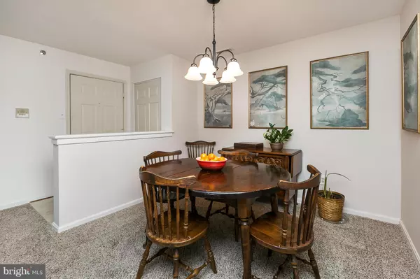 Sparks, MD 21152,16 RAINFLOWER PATH #204