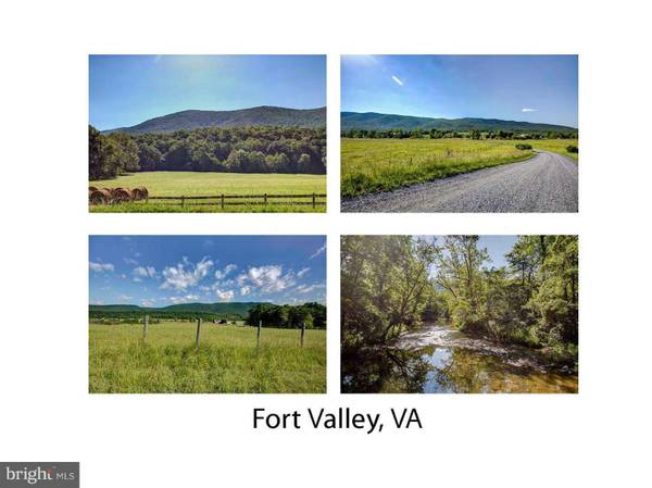 Fort Valley, VA 22652,801 SPRING MOUNTAIN WAY