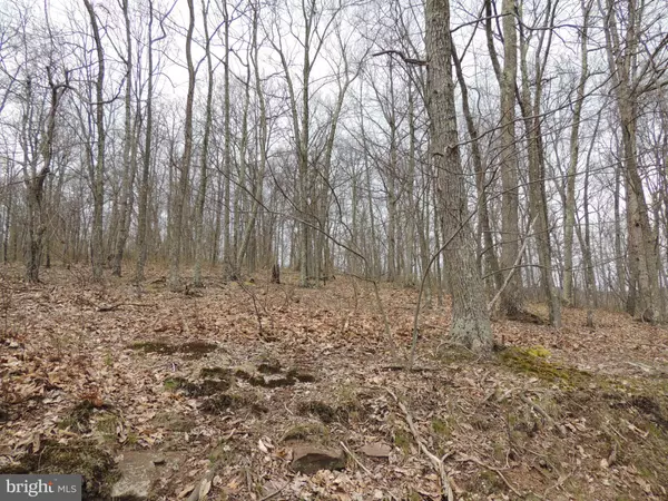 Cresaptown, MD 21502,BRANT RD