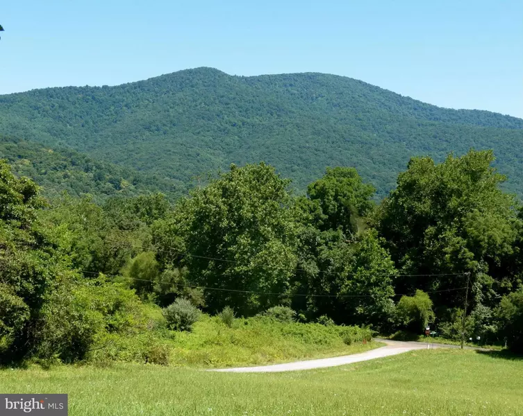 MASSIE MOUNTAIN RD, Washington, VA 22747