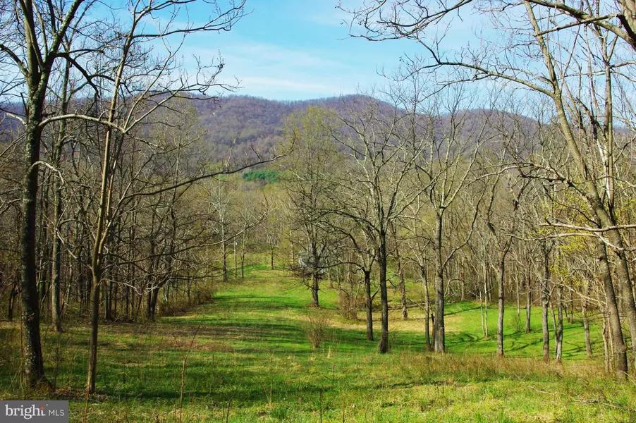 96 MT MARSHALL RD, Washington, VA 22747