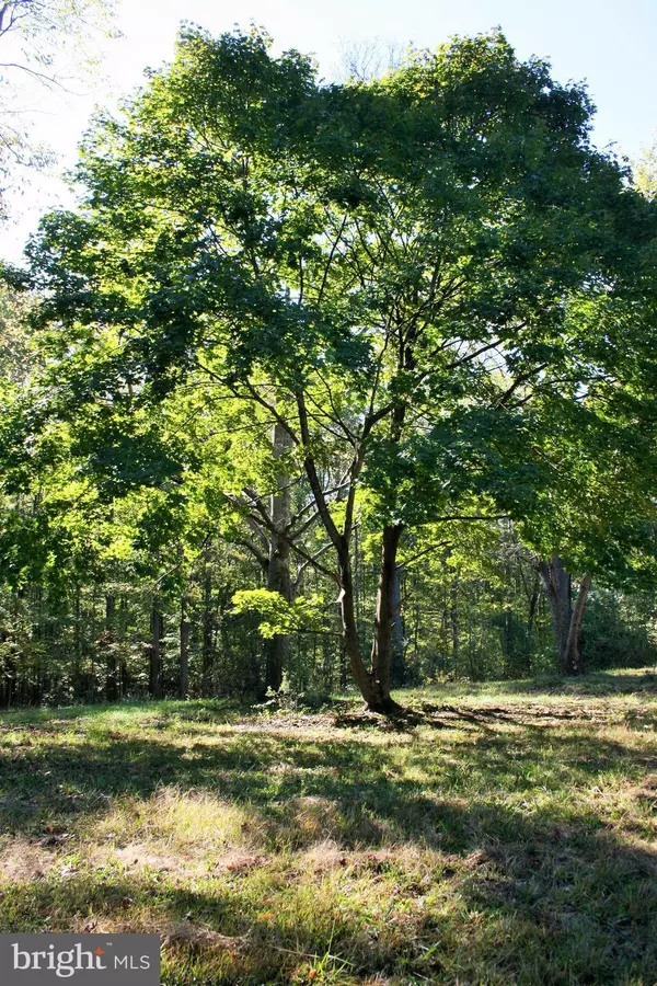 Louisa, VA 23093,18418 LOUISA RD