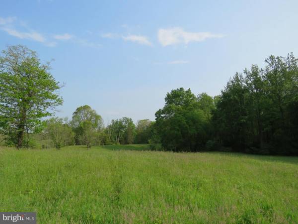 Rixeyville, VA 22737,PARCEL 25 BLACK HILL RD