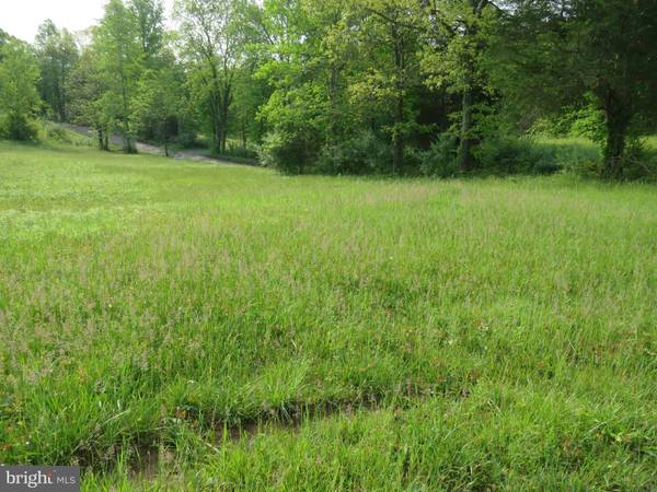 Rixeyville, VA 22737,PARCEL 25 BLACK HILL RD