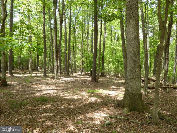 0 HEMLOCK FOREST LN, Sugar Grove, WV 26815