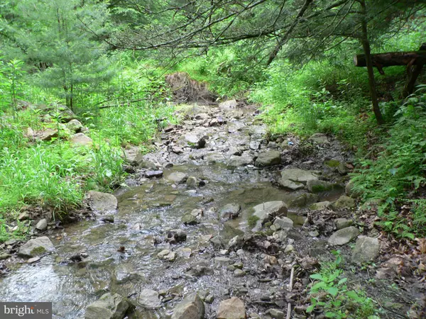 Brandywine, WV 26802,7865 BLUE GRAY TRAIL HWY