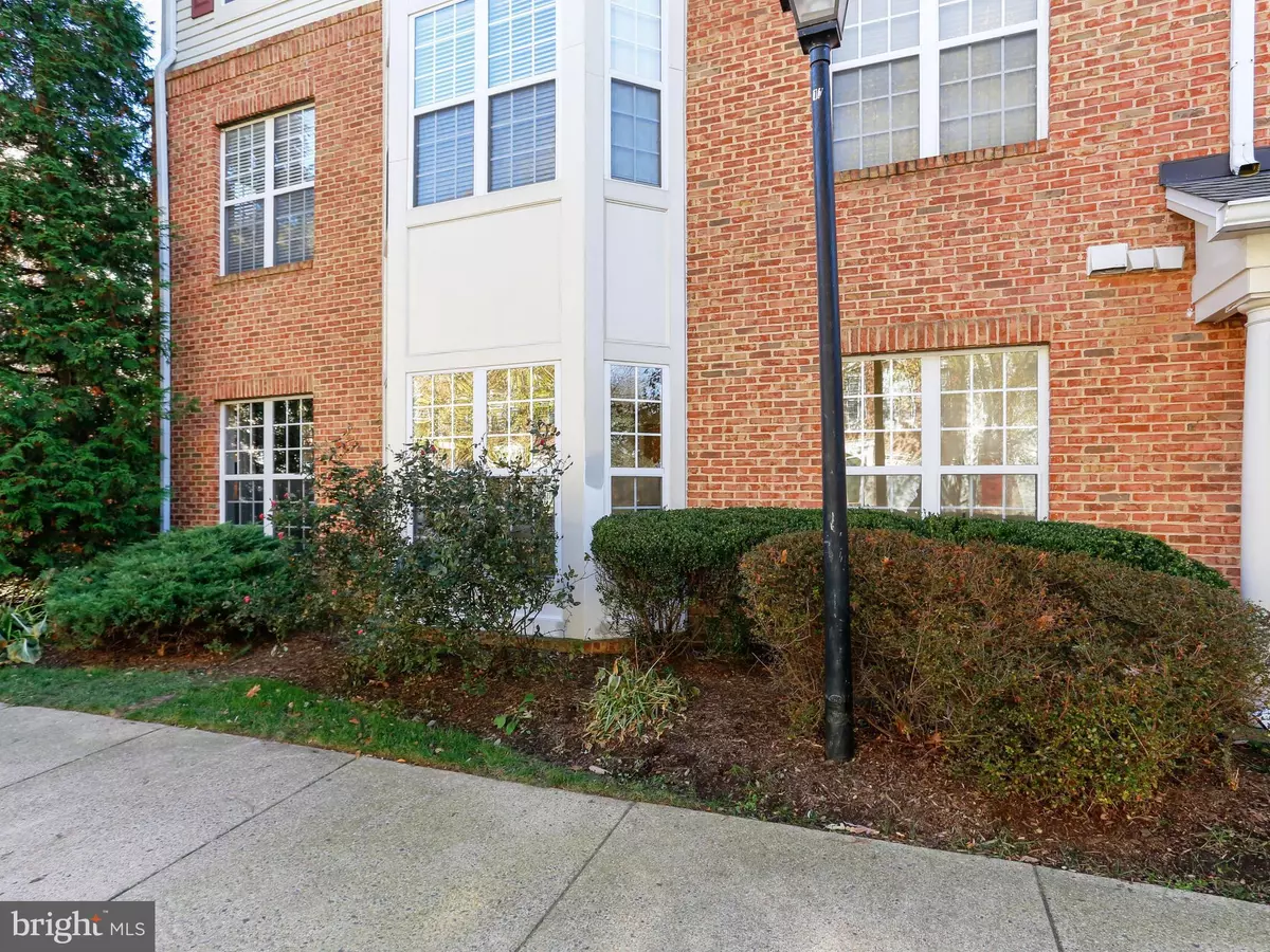 Alexandria, VA 22312,6495 TAYACK PL #101