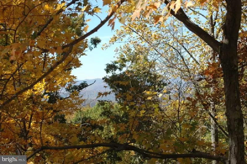 483 RED OAK MOUNTAIN RD, Woodville, VA 22749