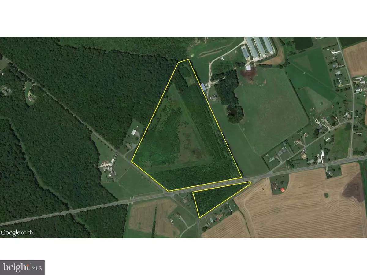 Harrington, DE 19952,39 AC VERNON RD