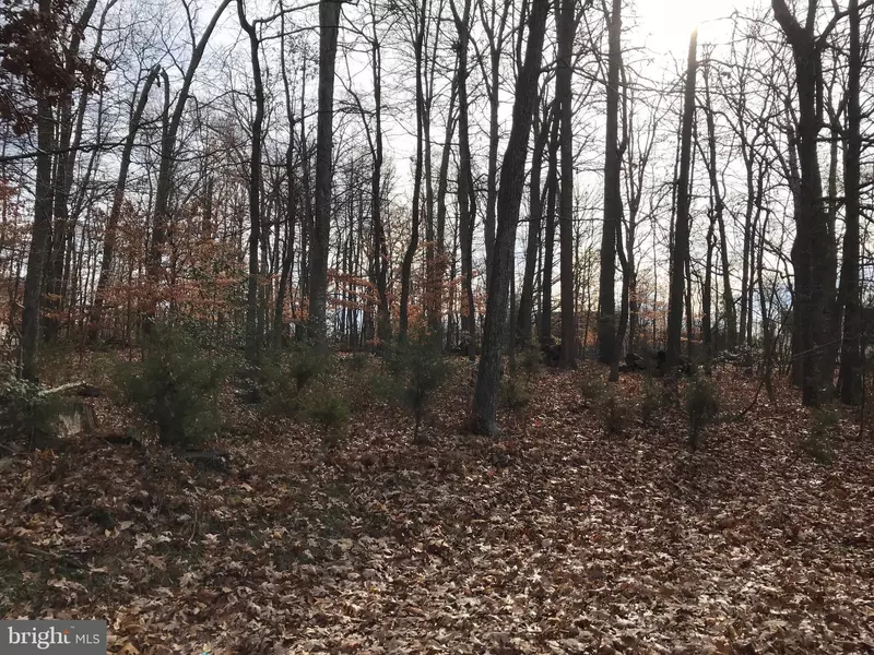 25 JEFFERSON DR, Sterling, VA 20165