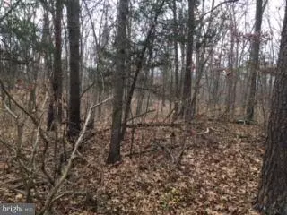 Winchester, VA 22602,214 WATERLOO CT