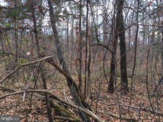 Winchester, VA 22602,214 WATERLOO CT