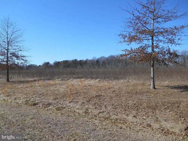 LITTLE CREEK LN, Hurlock, MD 21643