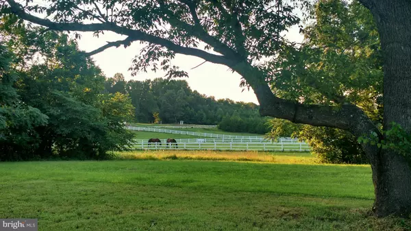 Culpeper, VA 22701,17065 GRAY RD