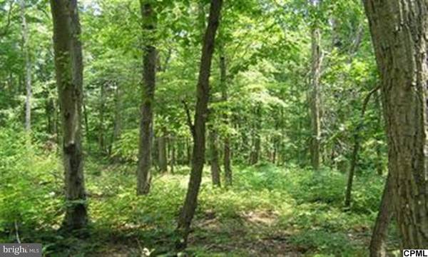 50.67 ACRES HAMMER HOLLOW RD, Mifflintown, PA 17059