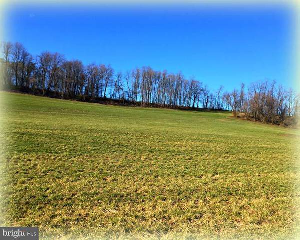 LOT 1 MCCOYSVILLE RD, Honey Grove, PA 17035