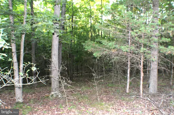 QUAIL HILL SUB DIV LOT 20, Petersburg, WV 26847