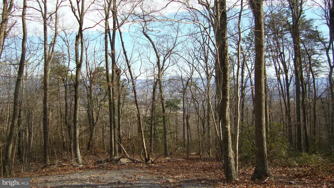 0 FOREST DRIVE EXTENDED, Luray, VA 22835