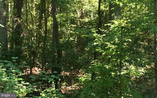 LOT 27 SALVIA RD, Newtown, VA 23126