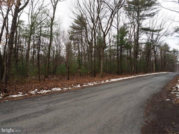 NW RABBIT RUN RD, Andreas, PA 18211