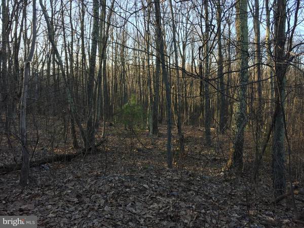 LOT 1 HICKORY RIDGE RD, Newport, PA 17074