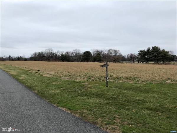 1595 PEACH BASKET DR #LOT 3, Felton, DE 19943