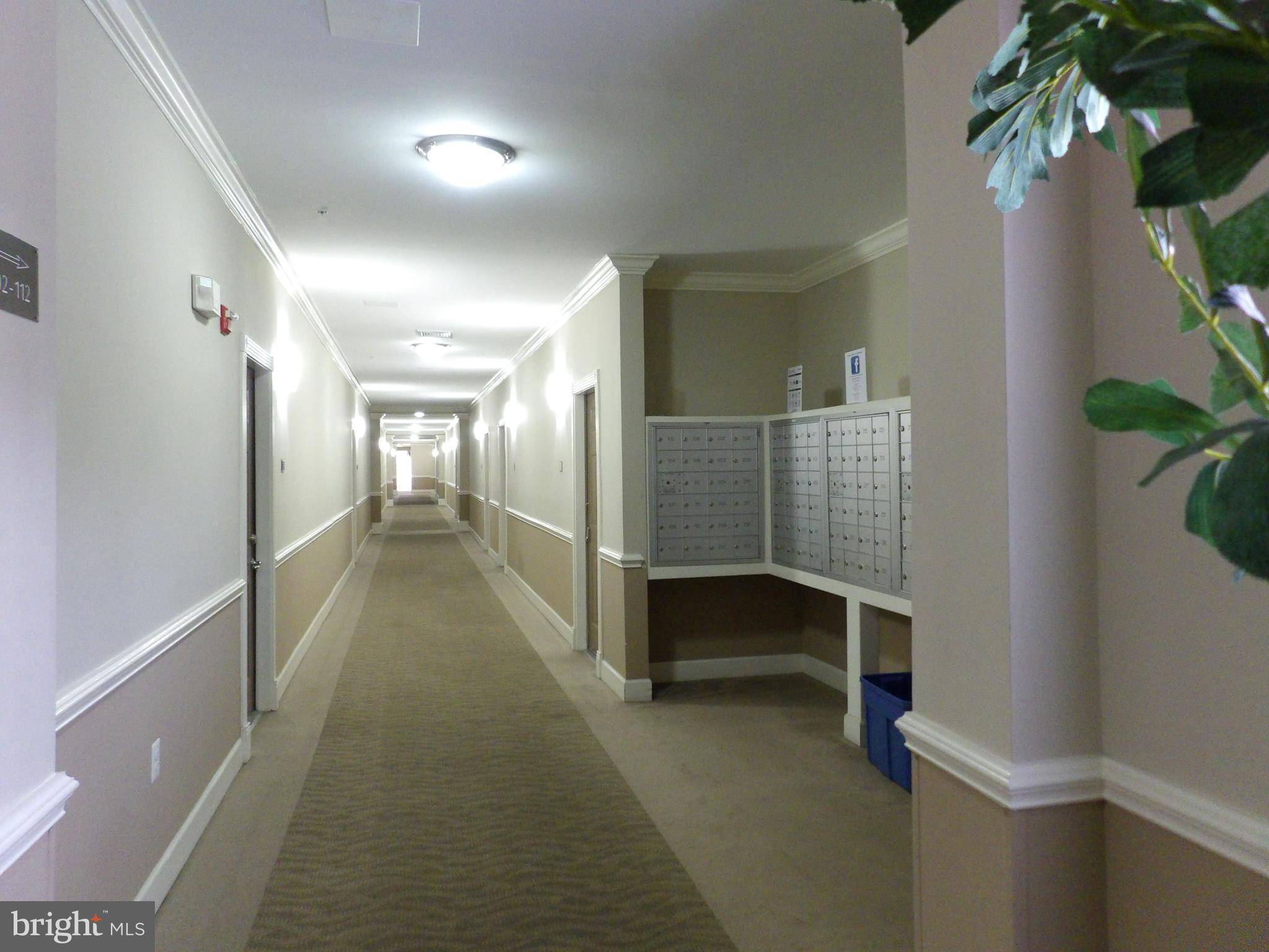 Chantilly, VA 20151,3810 LIGHTFOOT ST #108