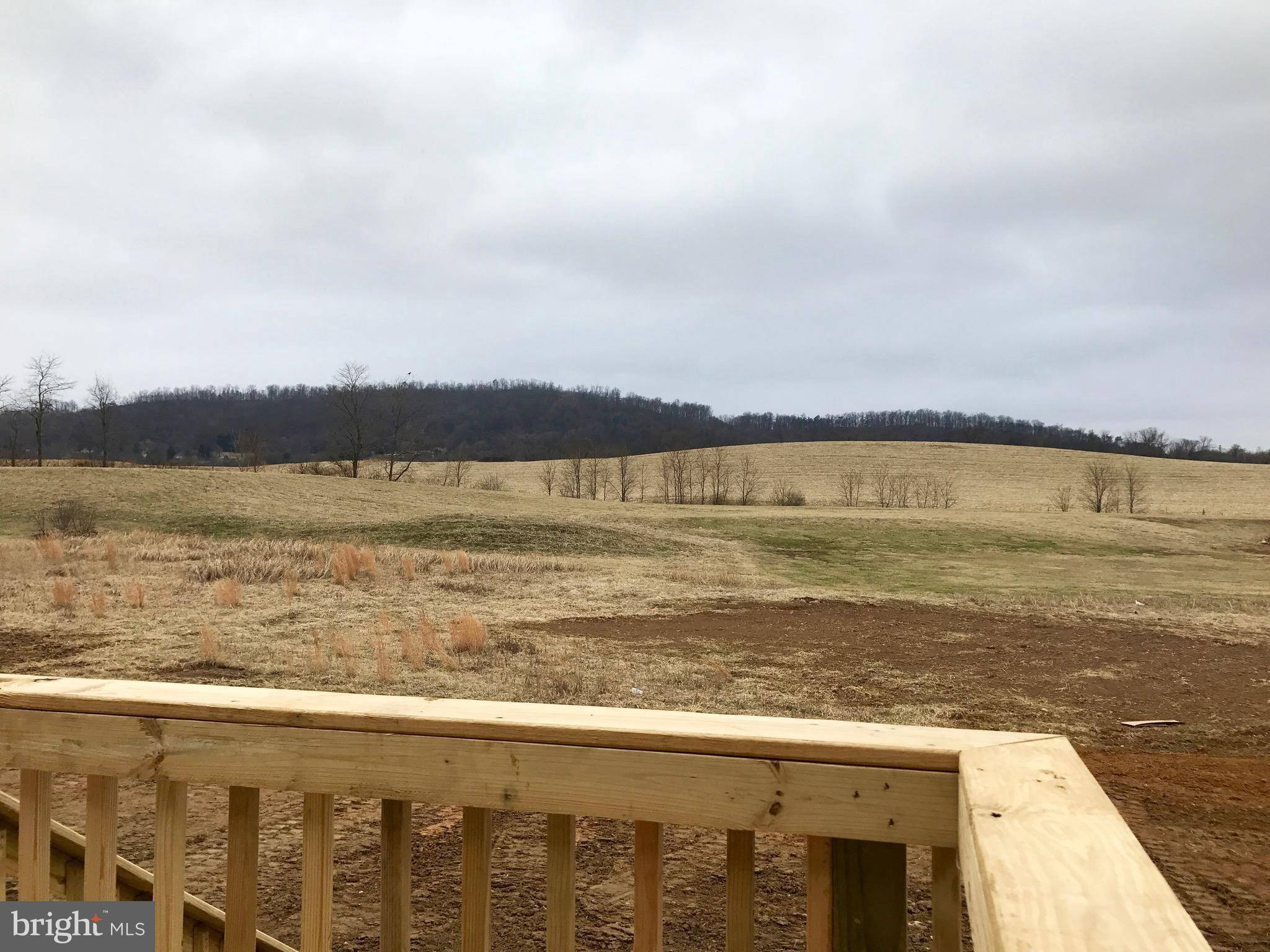 Hedgesville, WV 25427,LOT 16 CHISHOLM DR