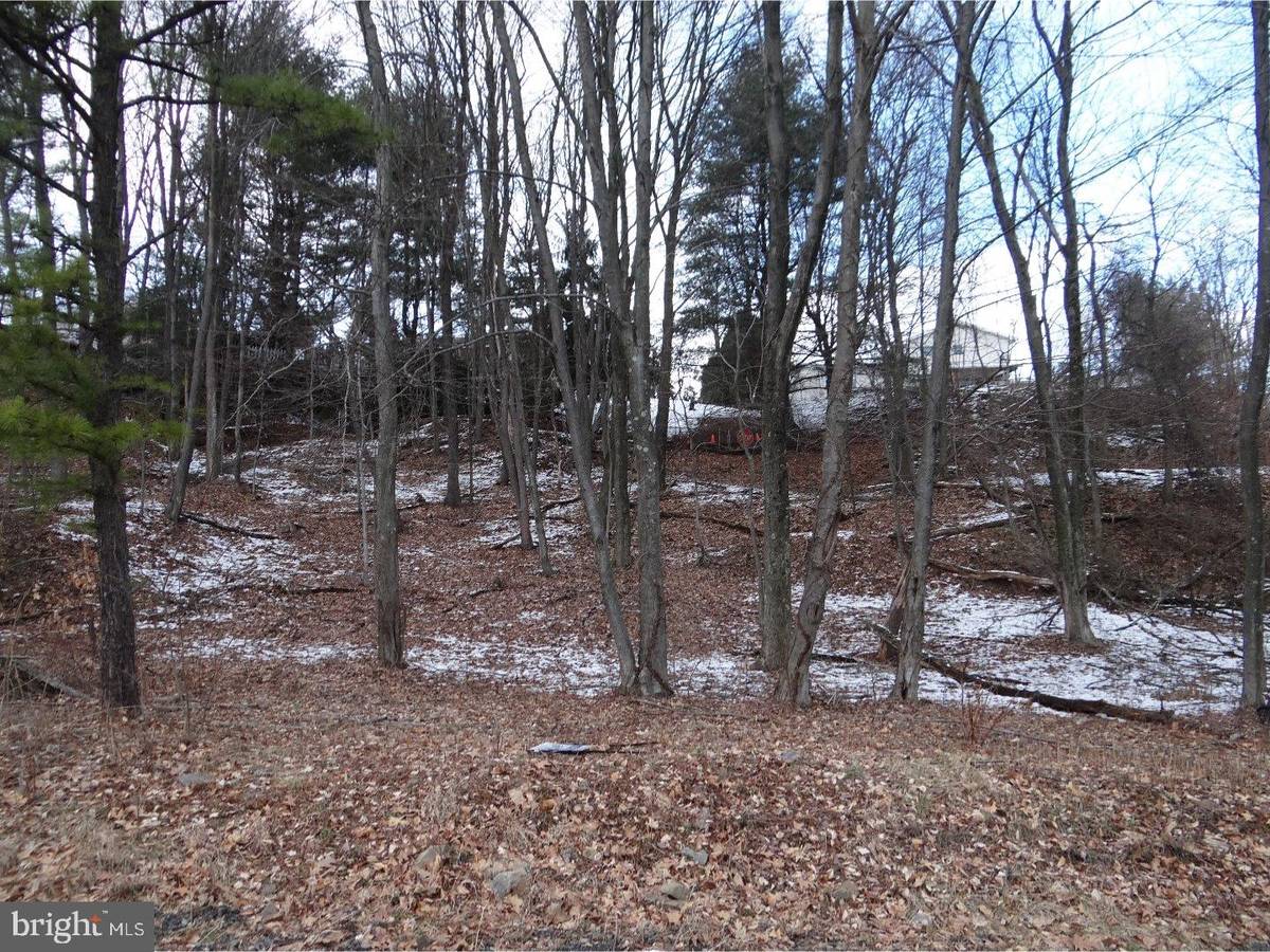 Pottsville, PA 17901,LOT 11 LOUISA AVE