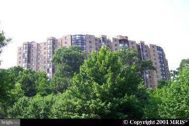 5902 MOUNT EAGLE DR #310, Alexandria, VA 22303