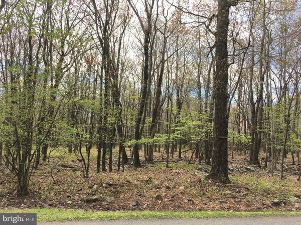 LOT 84 COTTONWOOD DR, Jim Thorpe, PA 18229