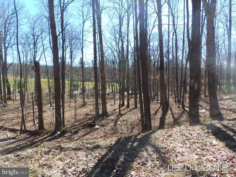 LOT 9 POLAND RUN HTS, Swanton, MD 21561