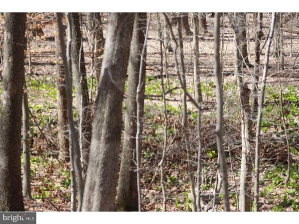 Kennett Square, PA 19348,LOT 1 MILL RD