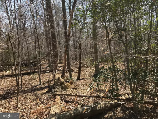 Mechanicsville, MD 20659,28775 CRITTER RUN LN #LOT 10