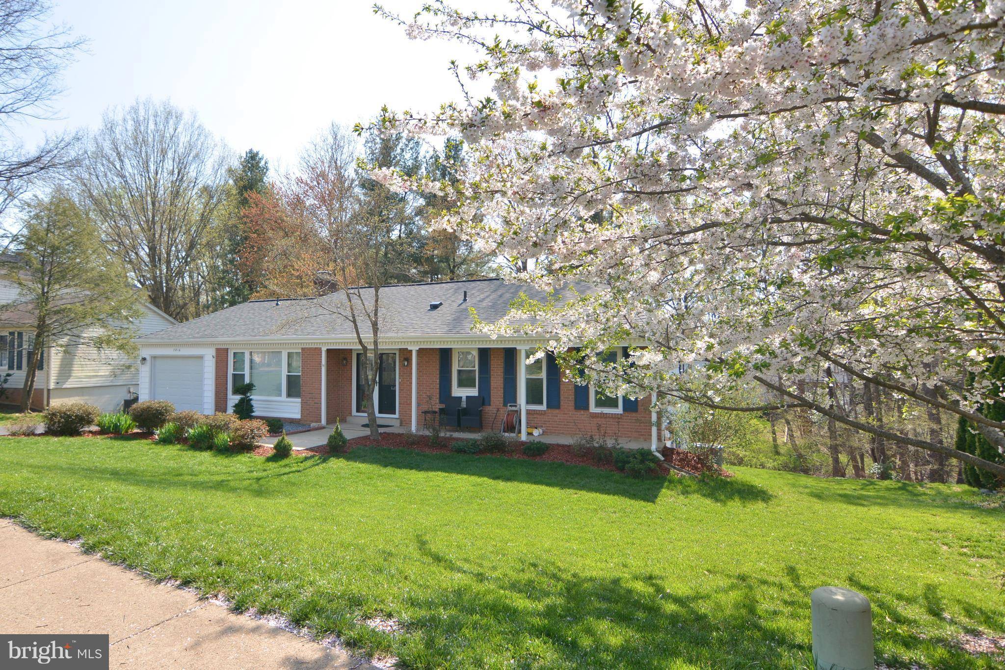 7816 CLIFFSIDE CT, Springfield, VA 22153