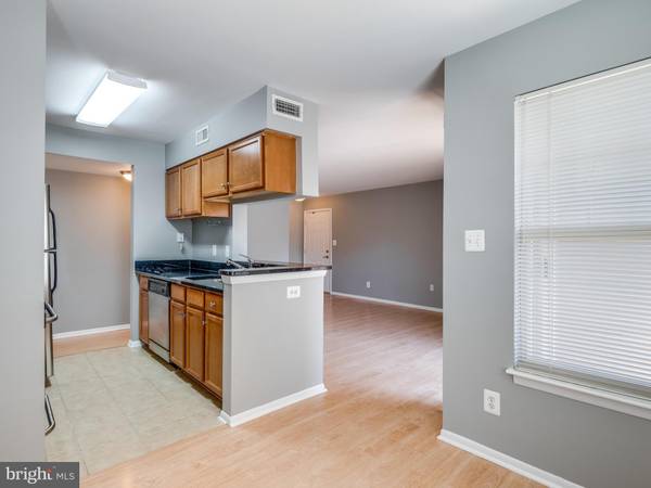 Reston, VA 20190,11653 GAS LIGHT CT #E