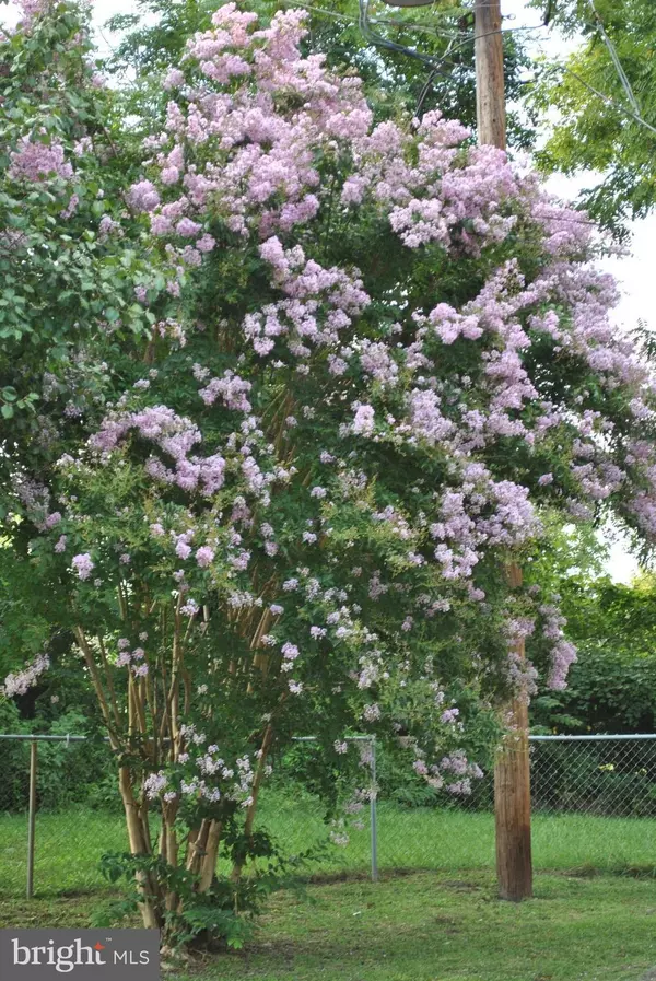 Marshall, VA 20115,4237 WARREN ST