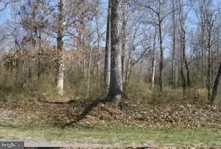 Bishopville, MD 21813,LOT 38 PINEY ISLAND DR