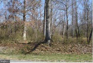 LOT 38 PINEY ISLAND DR, Bishopville, MD 21813