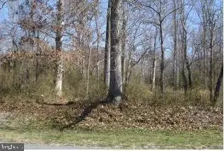 Bishopville, MD 21813,LOT 38 PINEY ISLAND DR