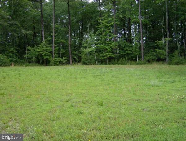 LOT 183 CANONS ROAR LN, Berlin, MD 21811