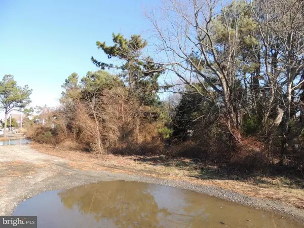 Ocean City, MD 21842,LOT 176 JEFFERSON AVE