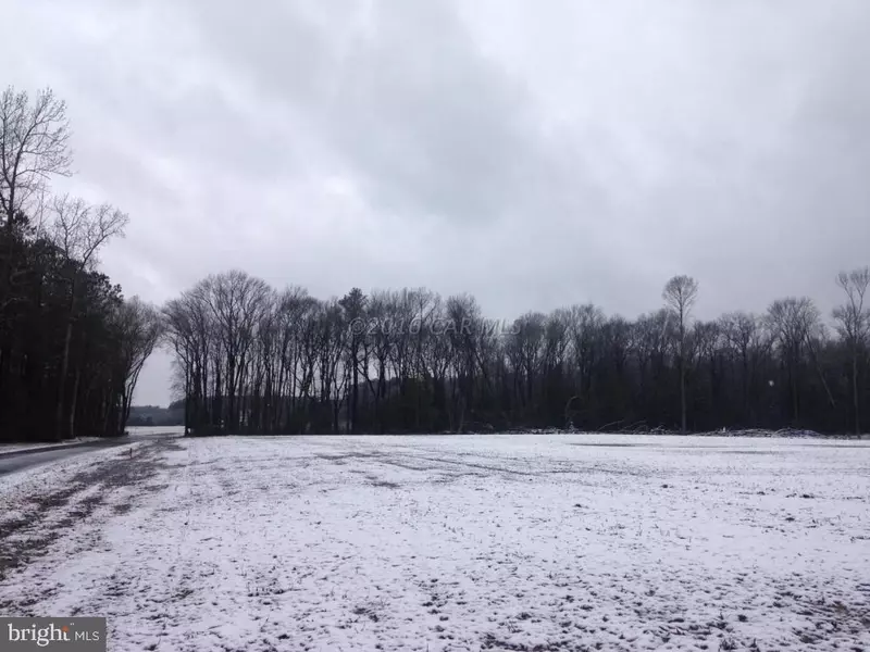 DUKES RD, Girdletree, MD 21829