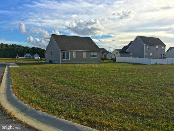 Delmar, MD 21875,LOT 143 SPOONBILL CT