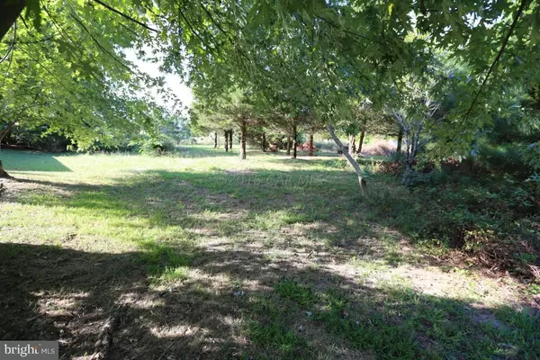 Bishopville, MD 21813,LOT 26A ROLLIE RD E