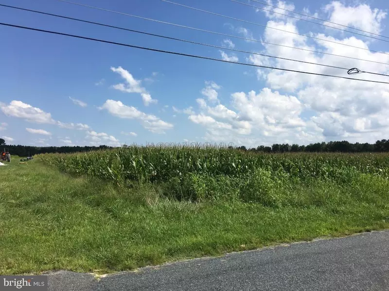 LOT 5 GORDY MILL RD, Delmar, MD 21875