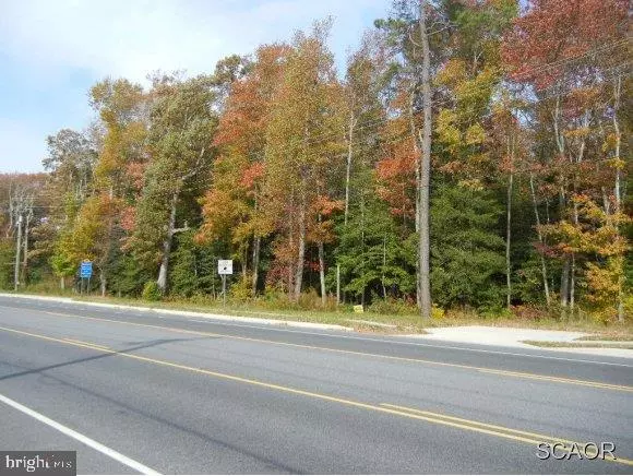 Selbyville, DE 19975,LIGHTHOUSE RD