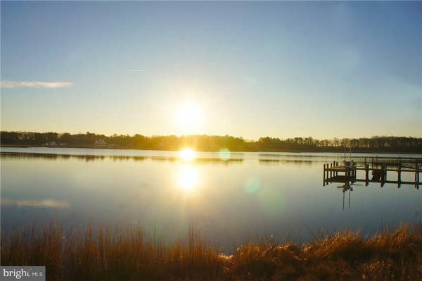 203 PEPPER VINE PT, Dagsboro, DE 19939