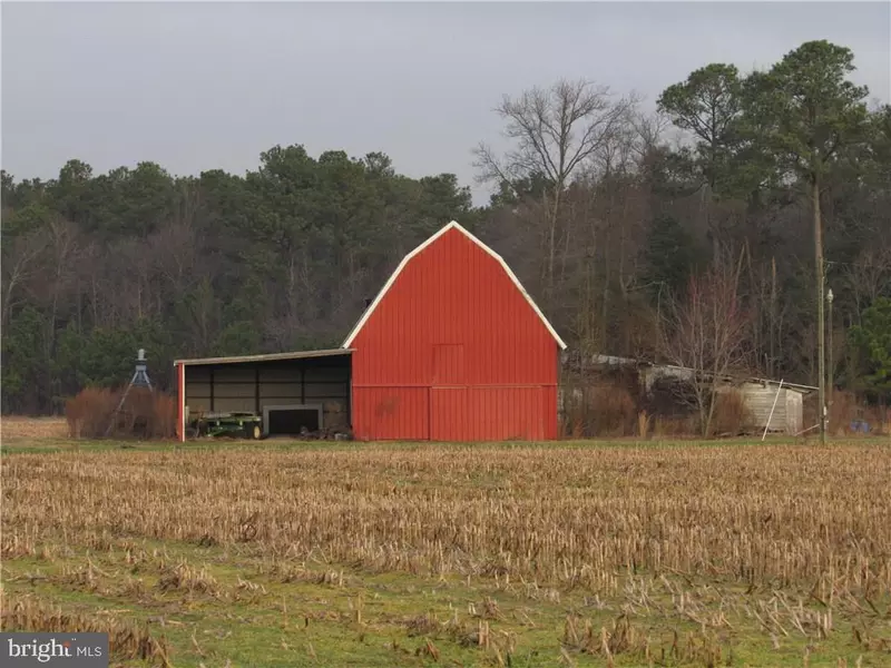 0 WOODY RD, Laurel, DE 19956