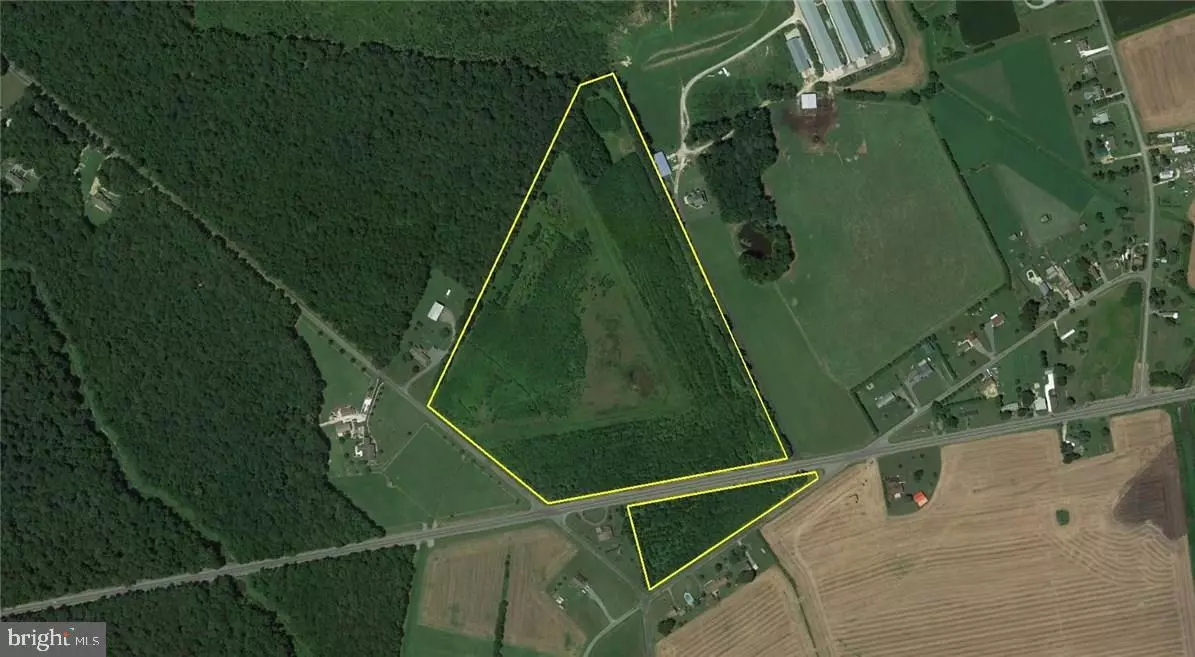 Harrington, DE 19952,39 ACRES VERNON RD